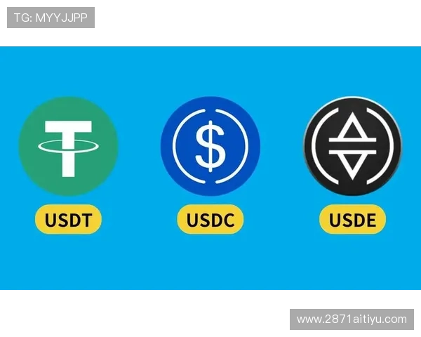 如何选择合适的USDT充值网络？全面解析与推荐